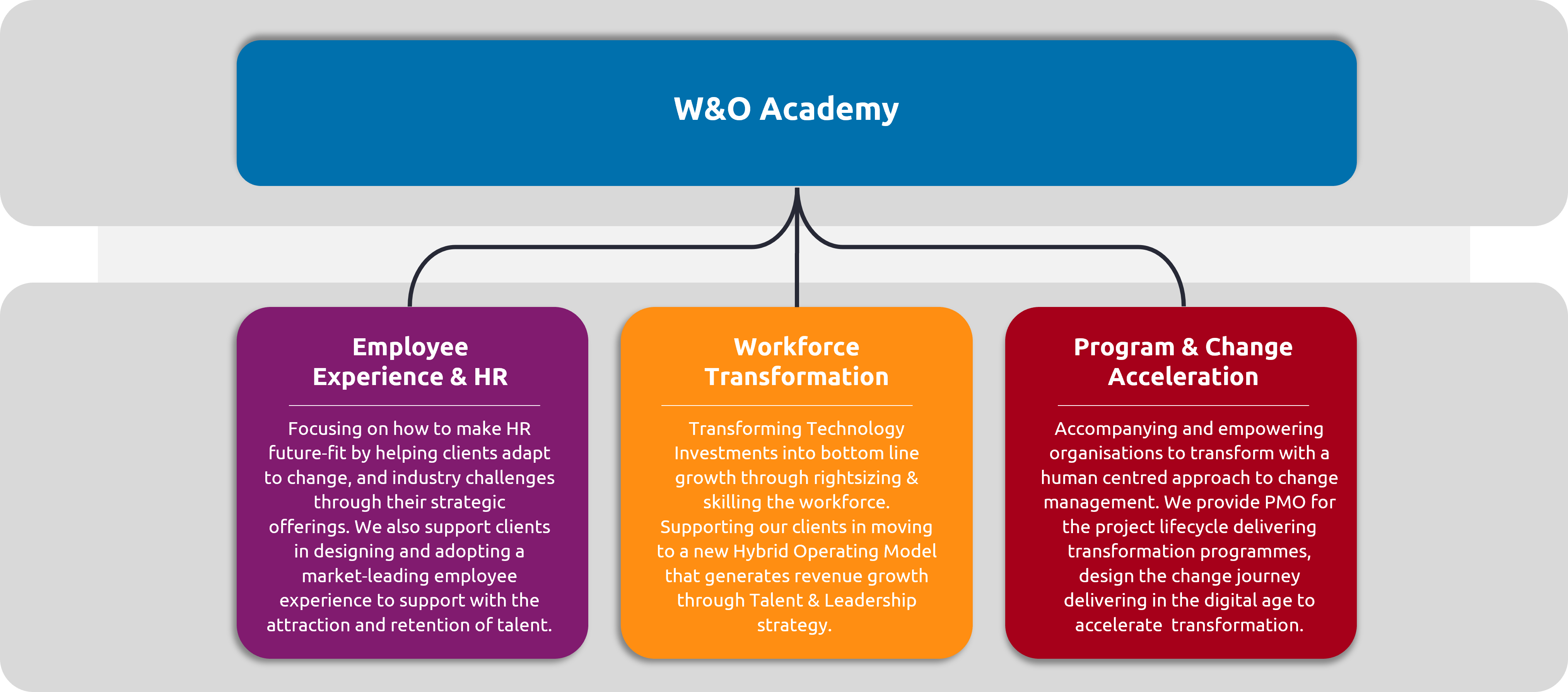 Workforce and Organisation Entry Route Capgemini UK