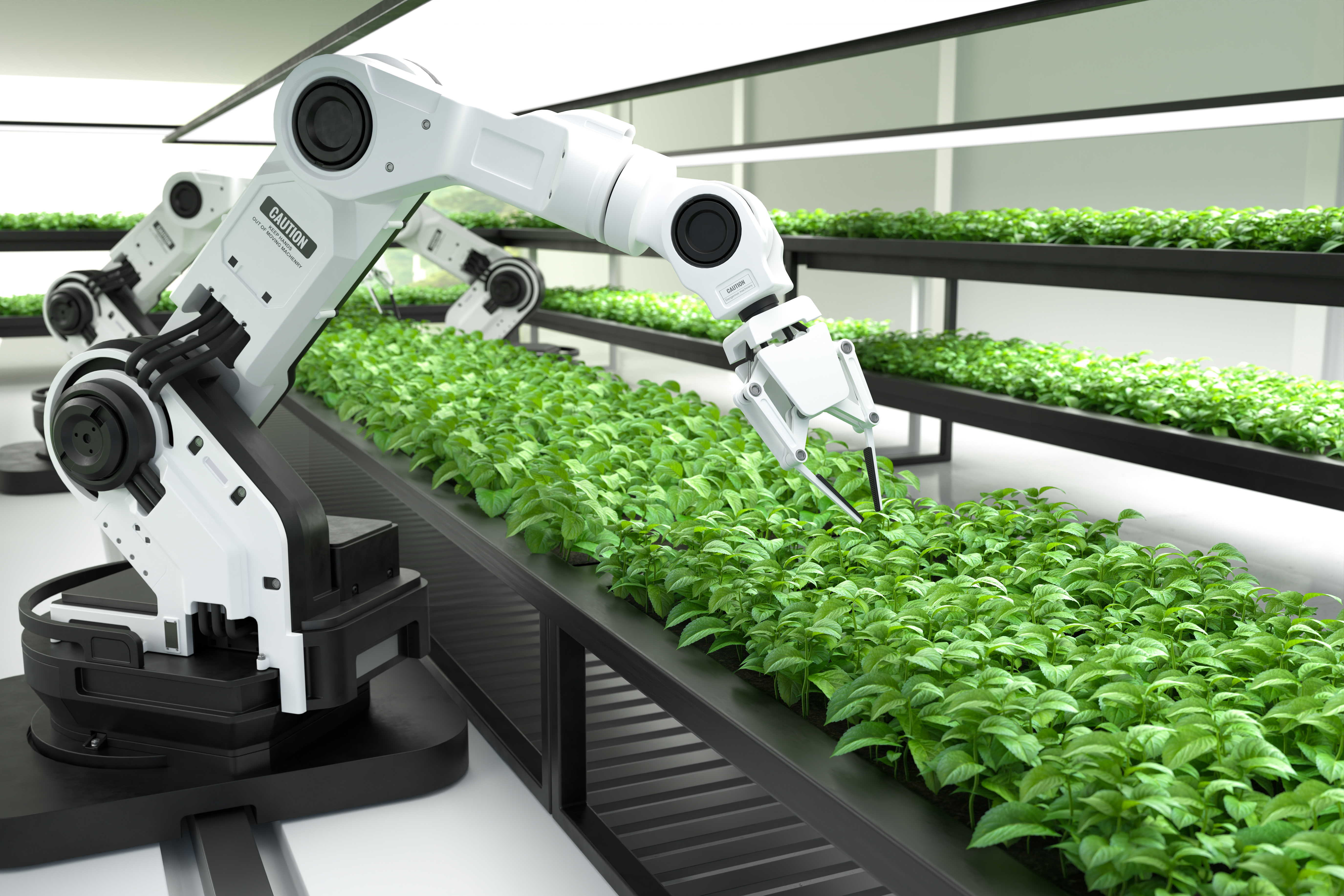 Smart robotic farmers concept, robot farmers, Agriculture techno
