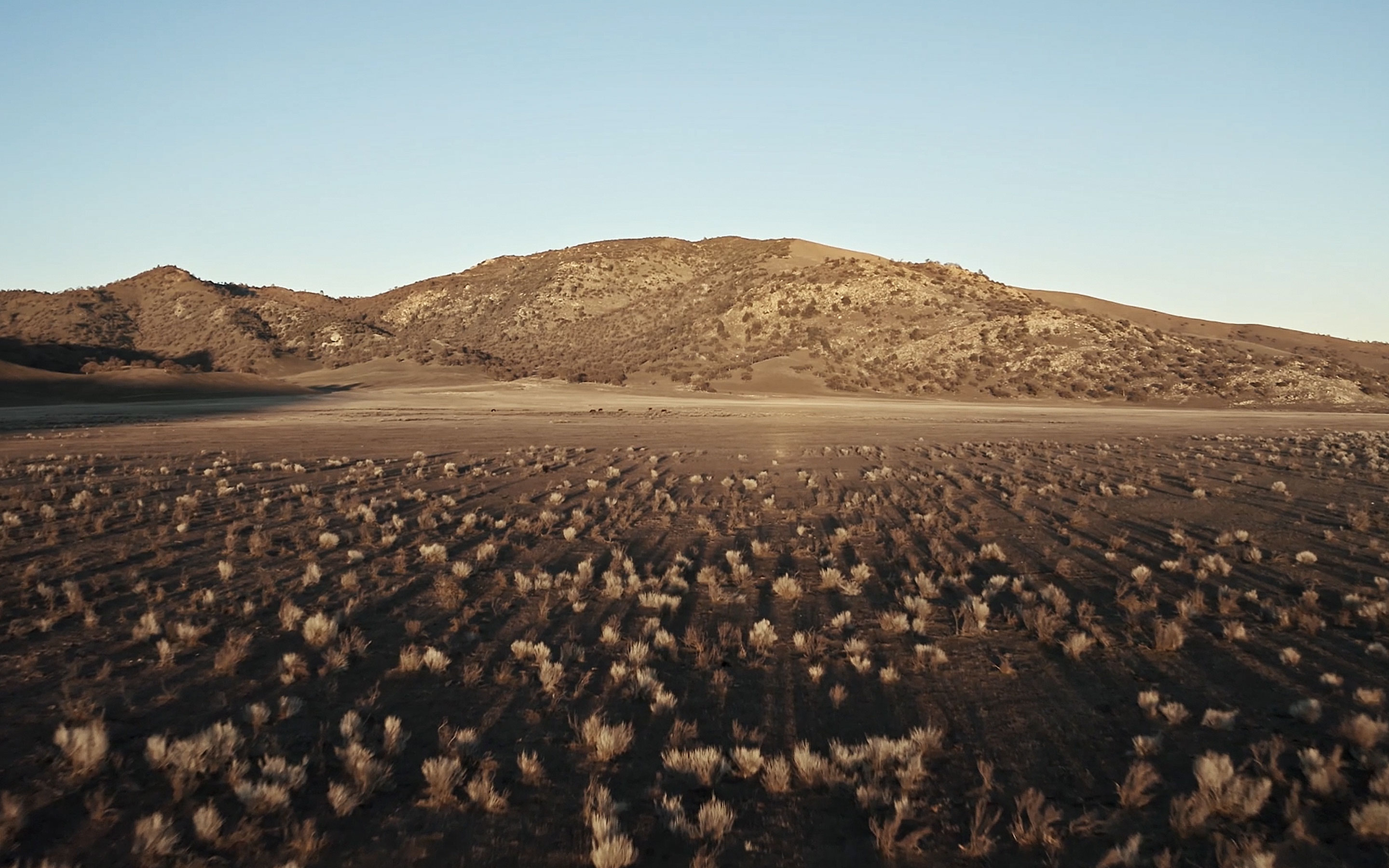 <a href="https://www.capgemini.com/news/inside-stories/mojave-desert/">The Mojave Desert: Data for tortoises and tires</a>