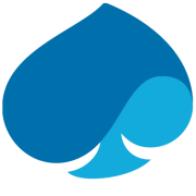 Meer over Capgemini.