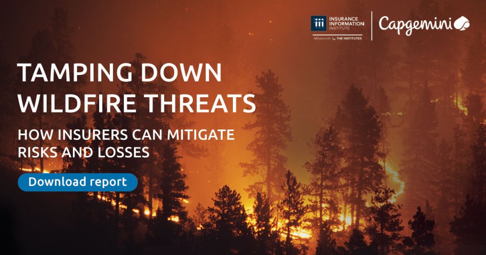 Tamping down wildfire threats - Capgemini