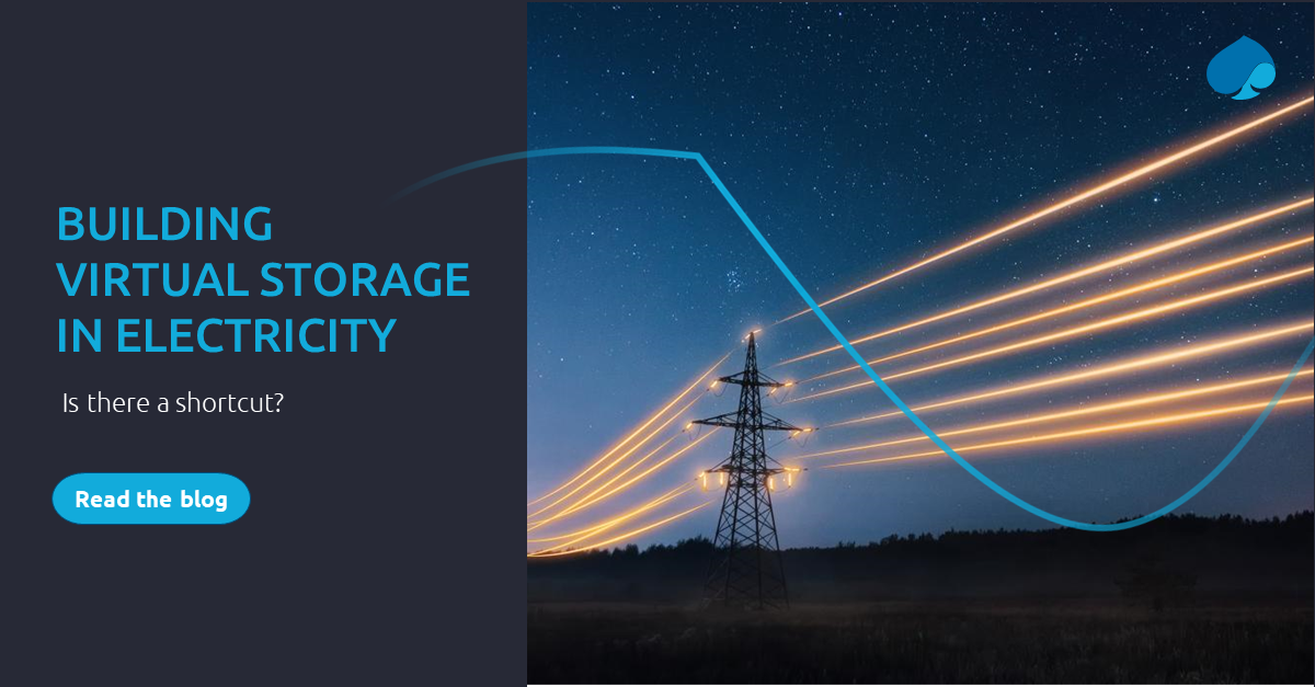 Building Virtual Storage In Electricity | Capgemini