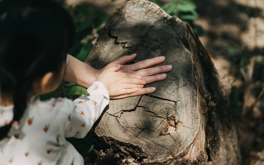 Insurance top trends 2024 Capgemini USA